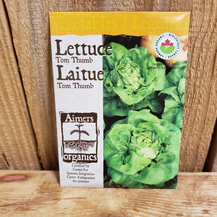 Seeds - Lettuce, Tom Thumb