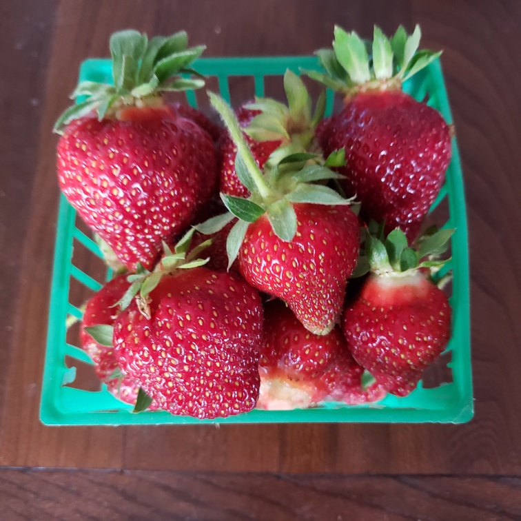 Strawberries, pint - Bauman