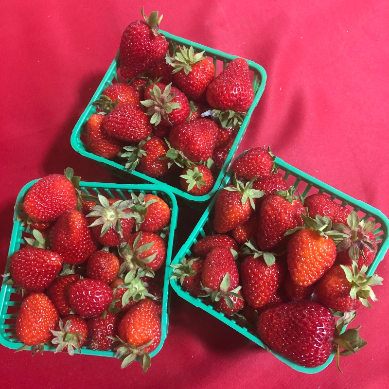 Strawberries - FairShare
