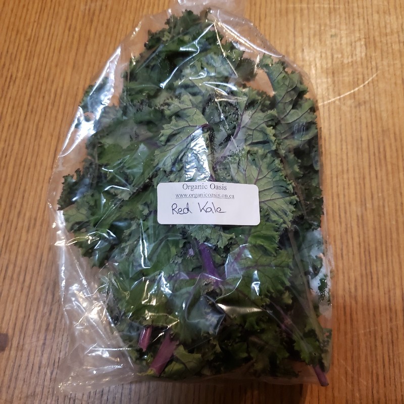 Red Kale, Bunch - Organic Oasis