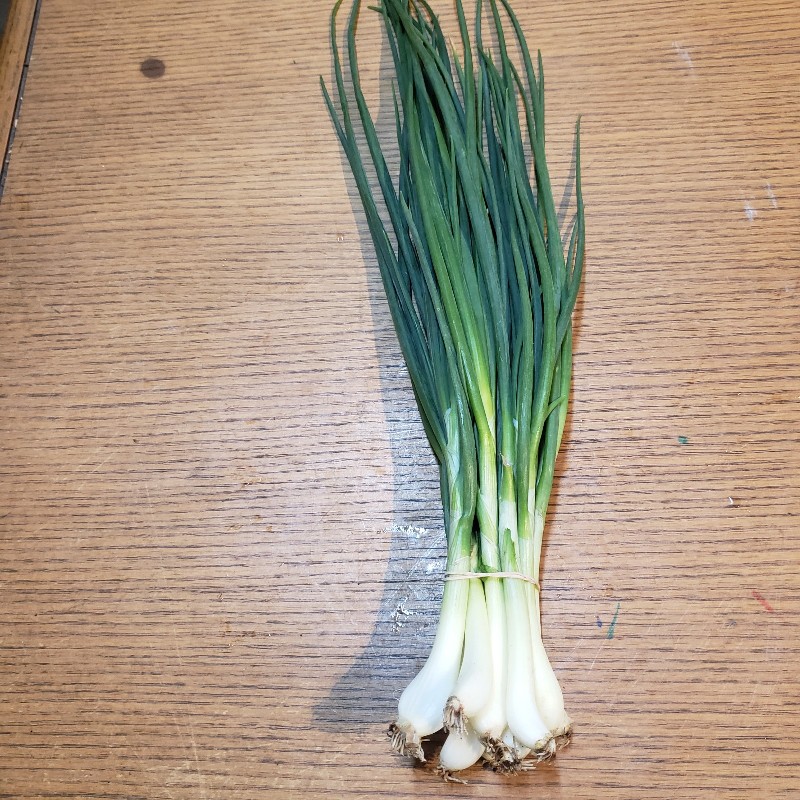 Green Onions, Bunch - Organic Oasis