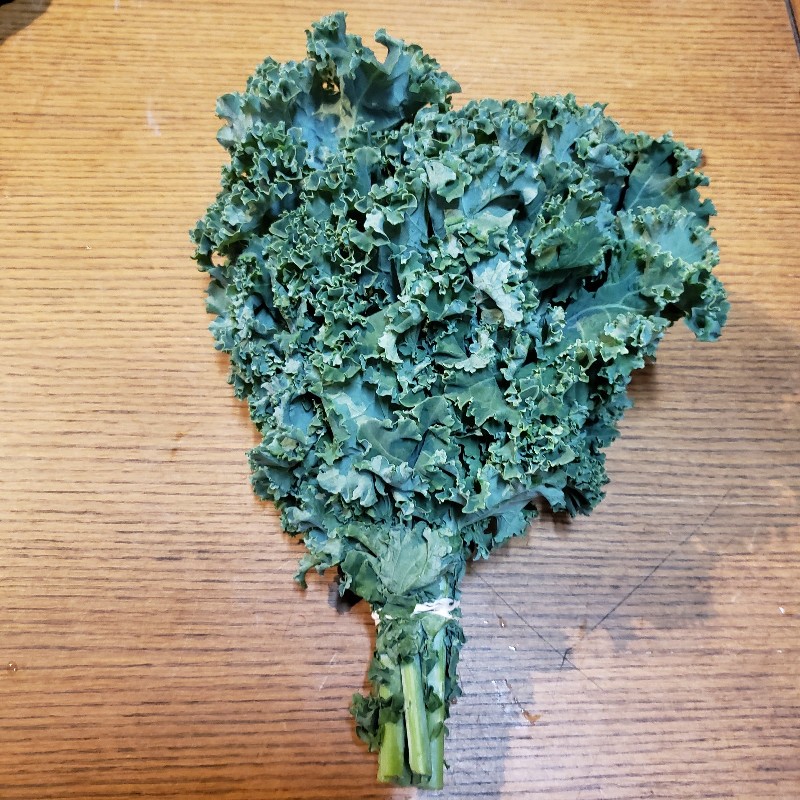 Kale, Green - Little Fields