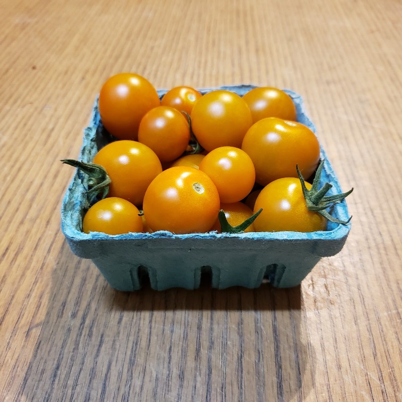 Cherry Tomatoes, Orange Sun Gold 1/2 half pint - Organic Oasis