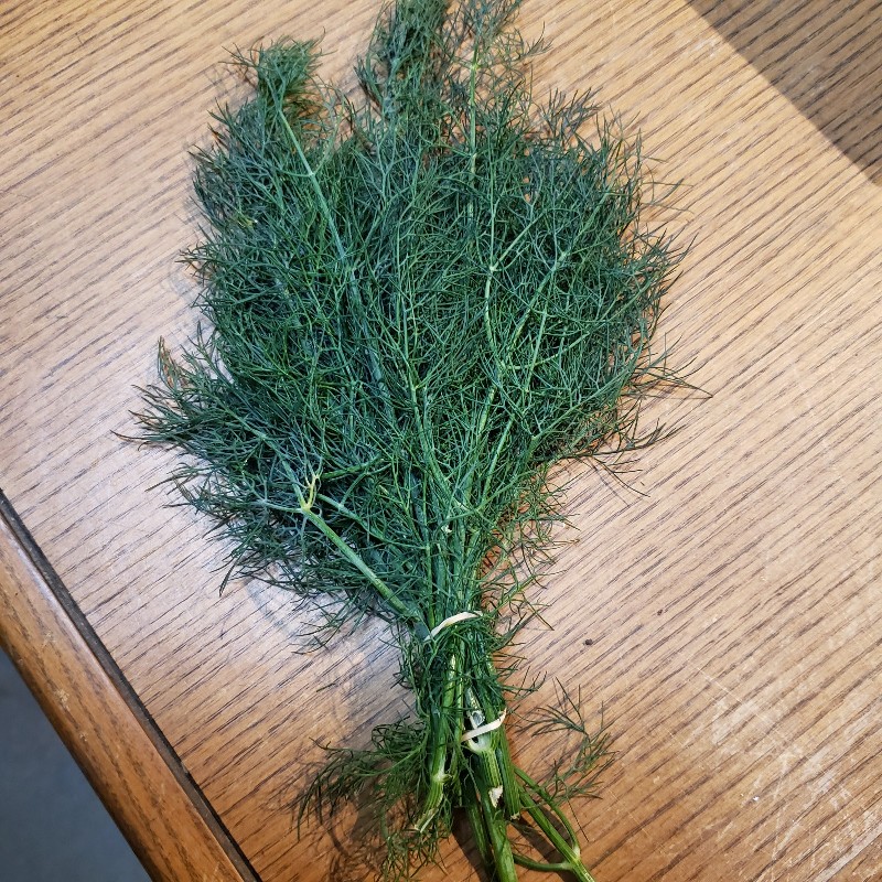 Fresh Herbs, Dill Weed - Bauman