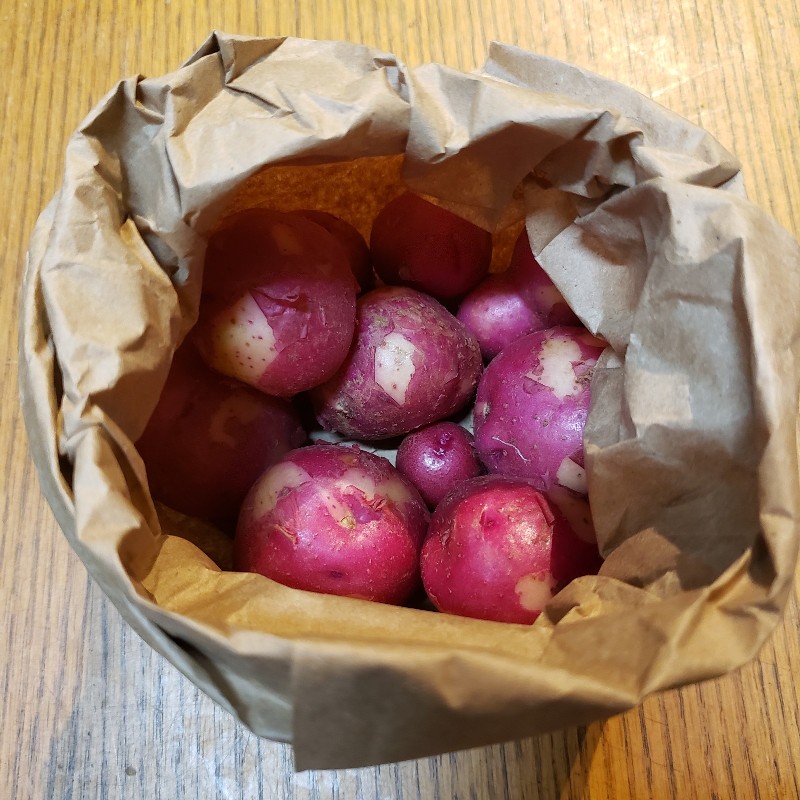 New Potatoes, Red 1lb - Summer's Harvest
