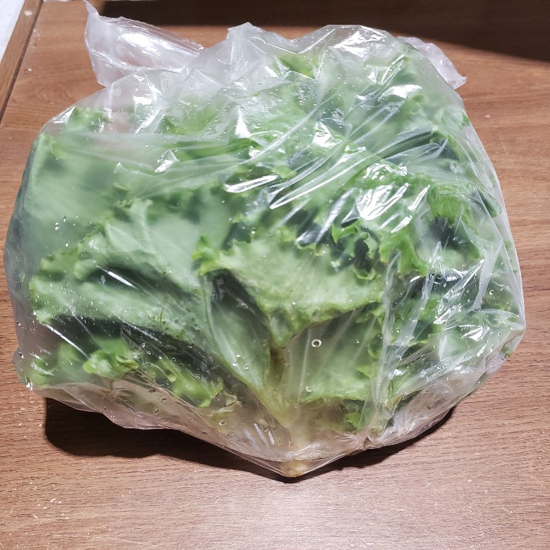 Lettuce Heads, Green Leaf - Knechtel