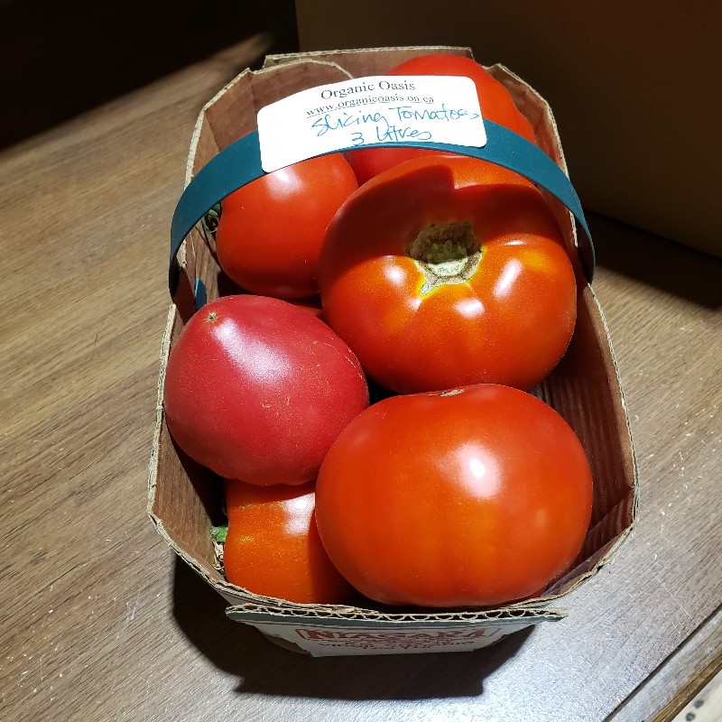 Slicing Tomatoes,  3L - Organic Oasis