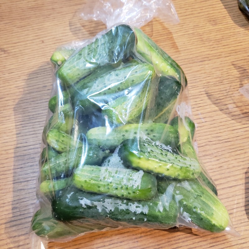 Cucumbers, Pickling 5lb - Little Fields