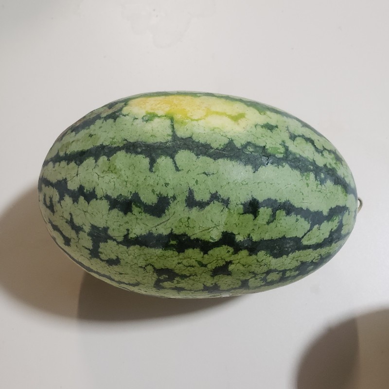 Watermelon, Mini Red - Hope