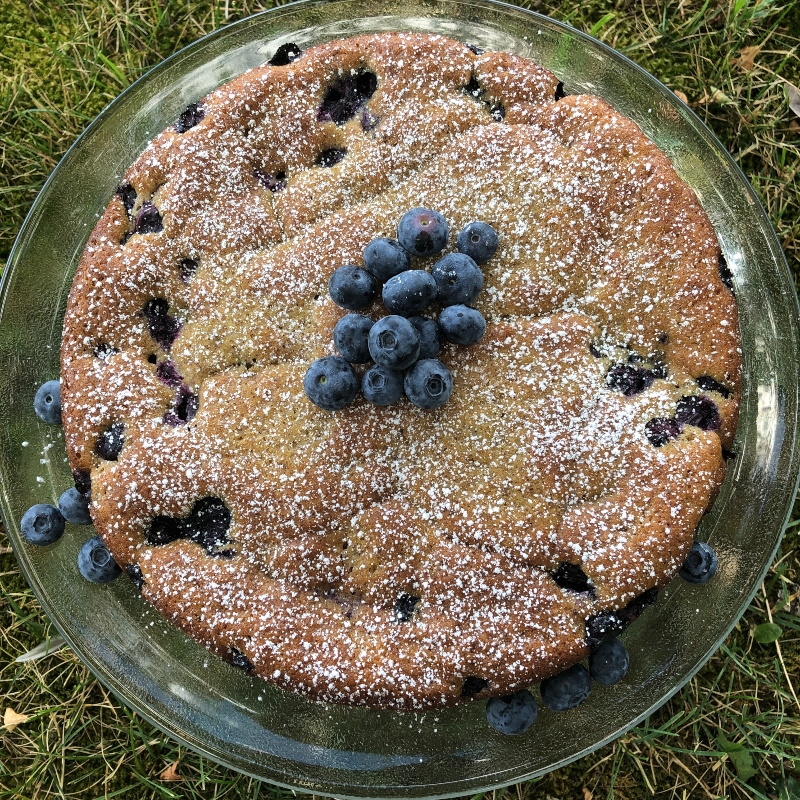 Organic Blueberry Breakfast Greek Yogurt Cake, whole 9" round - Lavender & Honey