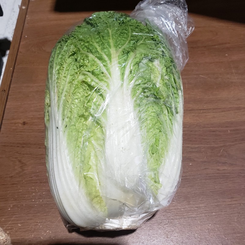 Cabbage Napa - Bowman