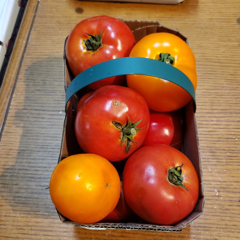 Tomatoes, Slicing 3L - Bauman