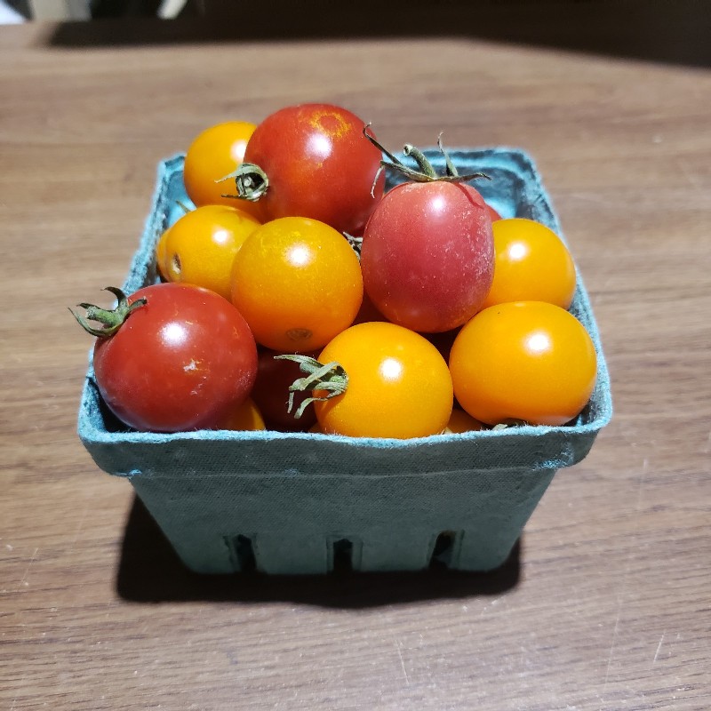 Cherry Tomatoes, Mixed 1 pint - Bowman