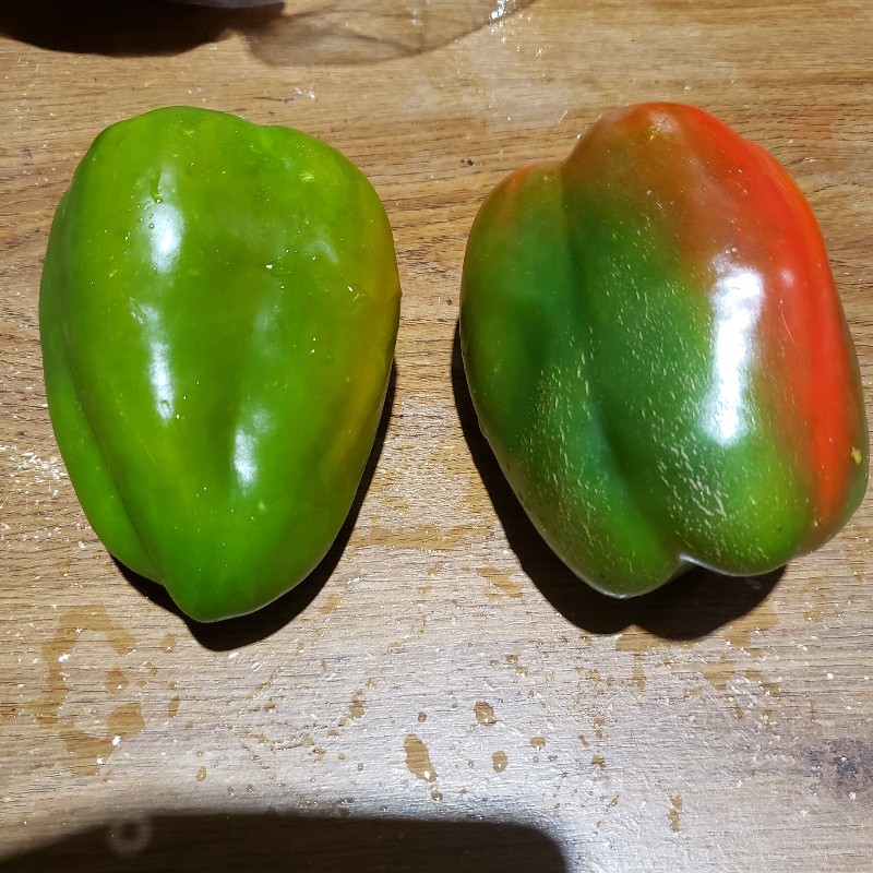 Peppers, Green  - Organic Oasis