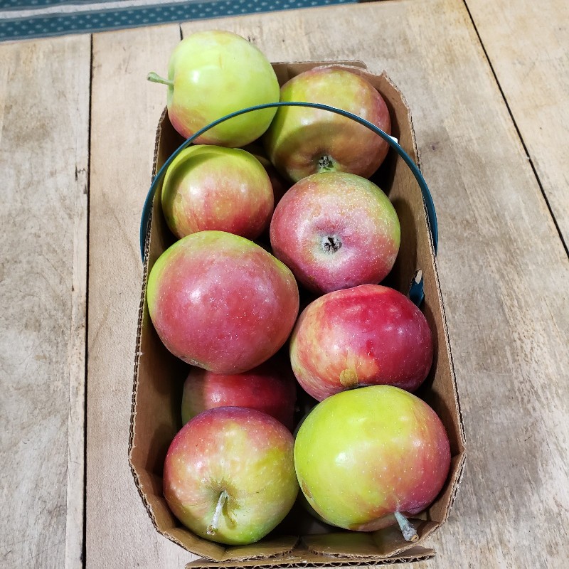 Apples, Jersey Mac 3L - Apple Creek