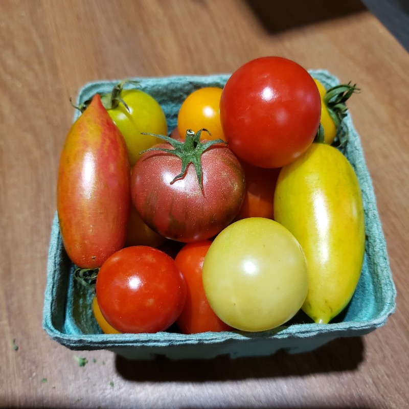 Cherry Tomatoes 1pint - Knechtel