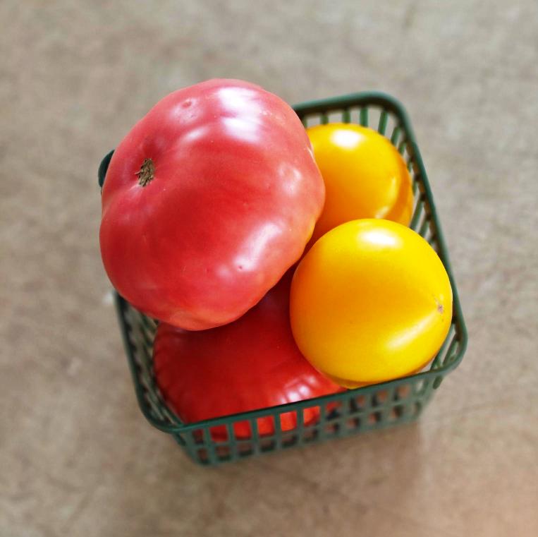 Tomatoes, Slicer mix , 1 litre - Bowman