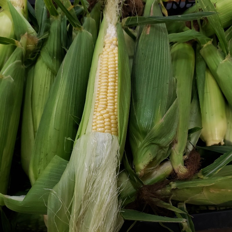 Sweet Corn 1/2 dozen