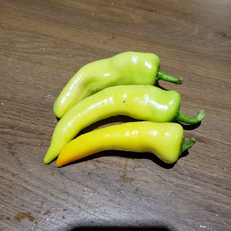 Peppers, Yellow 3pack - Bauman