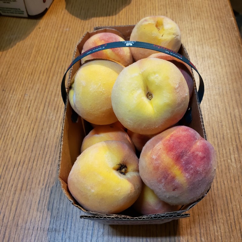 Peaches, Coral Star (Freestone) 3L - Palatine