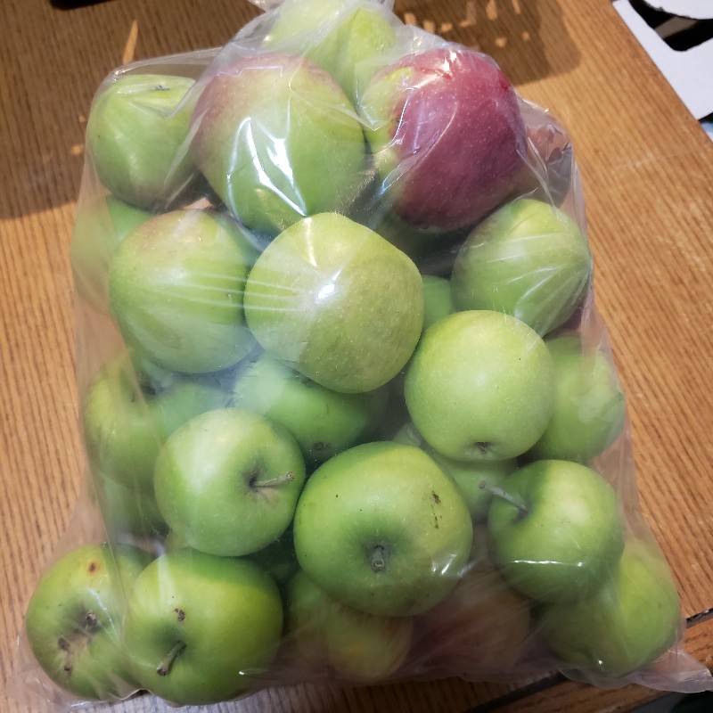 Apples, Mac (2nds) 10lb bag - Cedar Springs