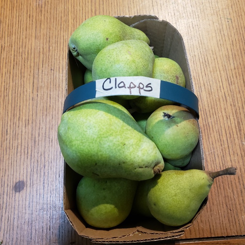 Pears, Clapp 3L - Cedar Springs