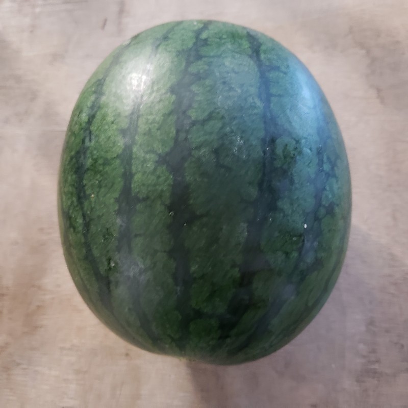 Watermelon, Red Flesh 10lbs+ - Knechtel