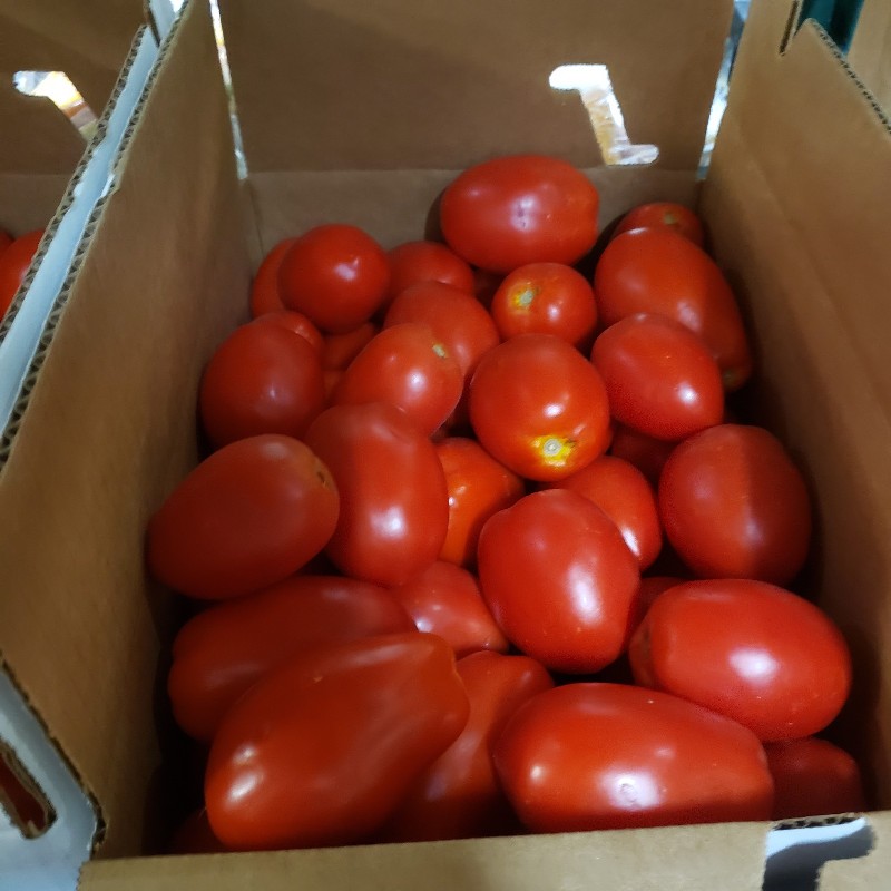 Tomatoes, Roma 1/2 bushel - Bowman
