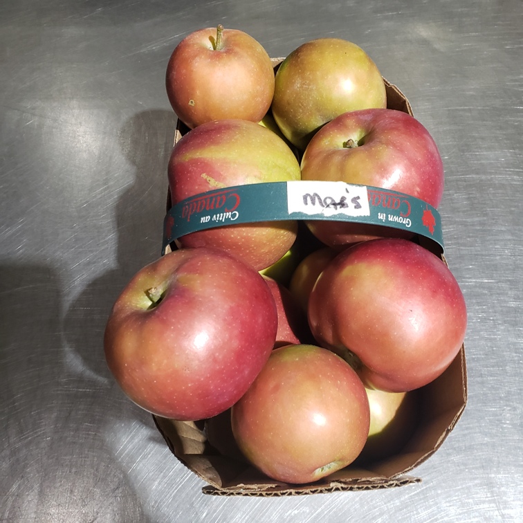 Apples, Mac  3L - Cedar Springs