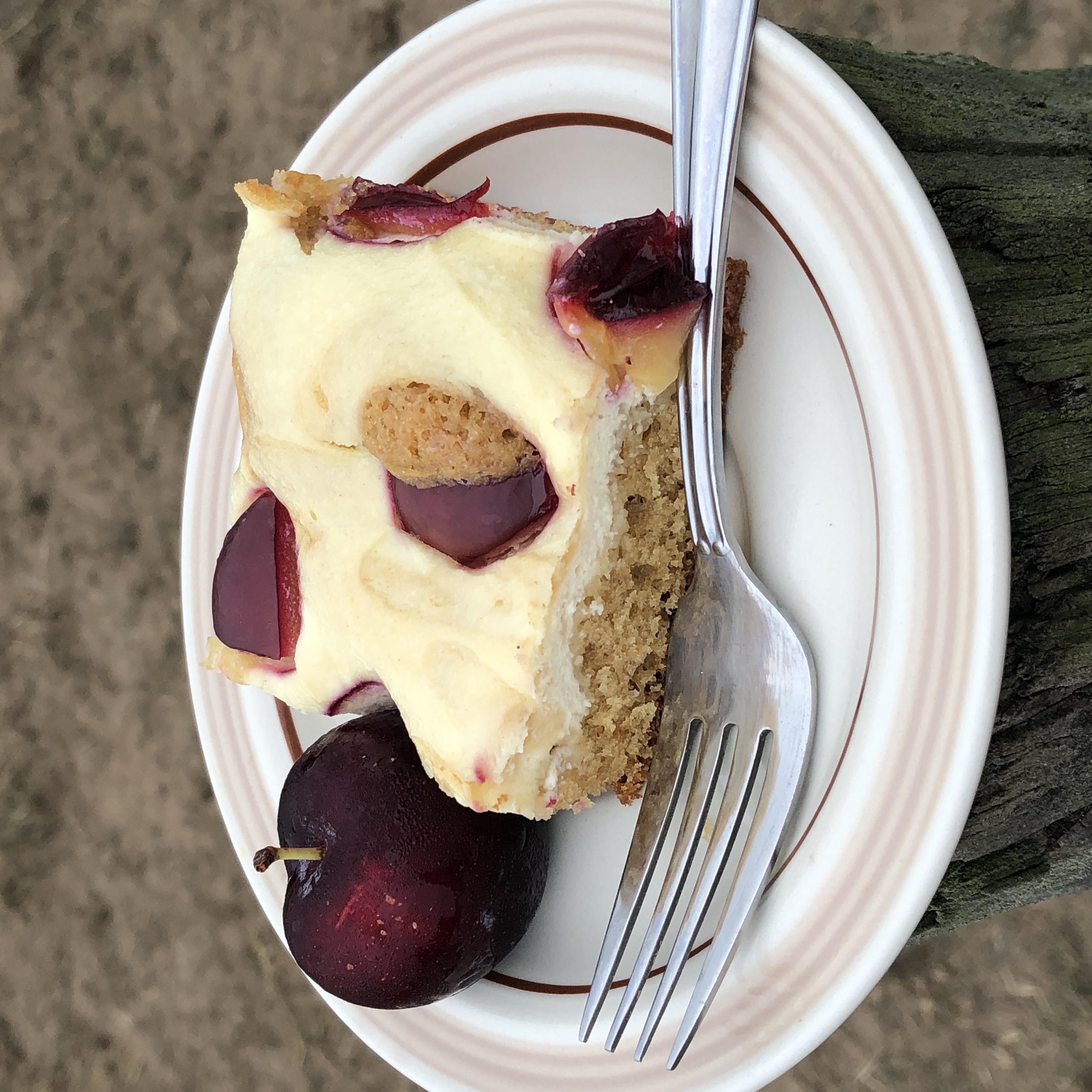 Rustic Plum Cheesecake, single squares - Lavender & Honey