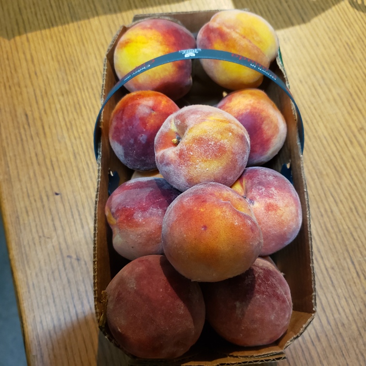 Peaches, PF23 (Freestone) 3L - Palatine