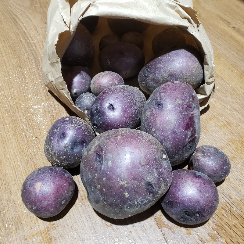 Potatoes, Huckleberry Gold - 5lb - Bowman