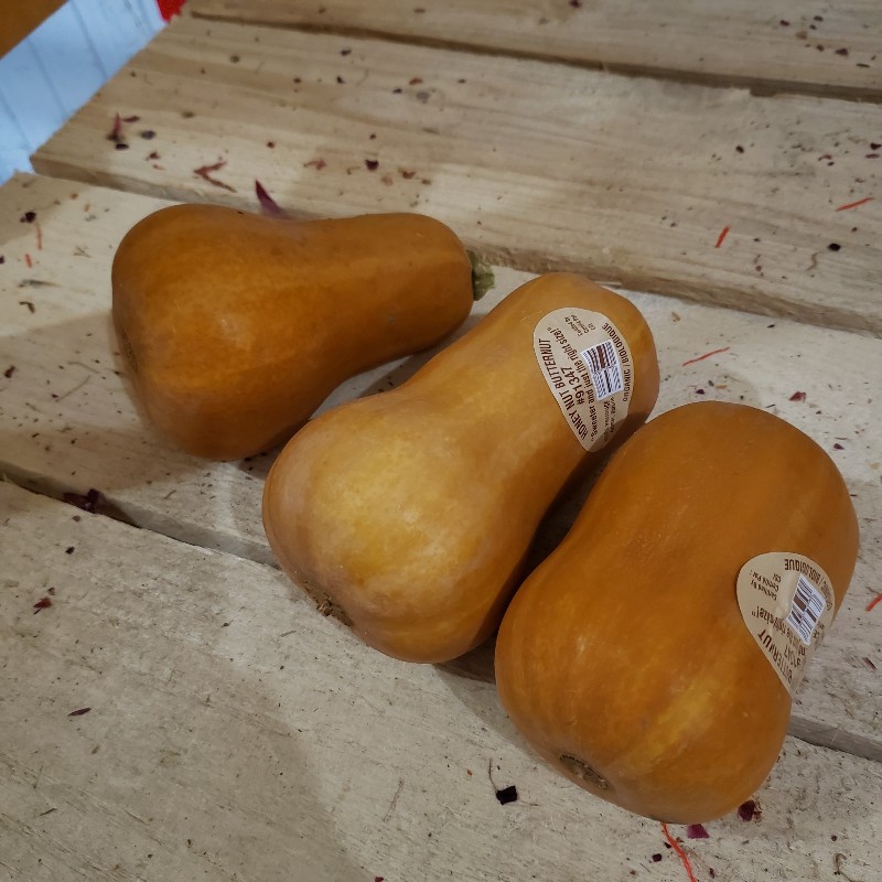 Squash, Honeynut Butternut smalls - Hope