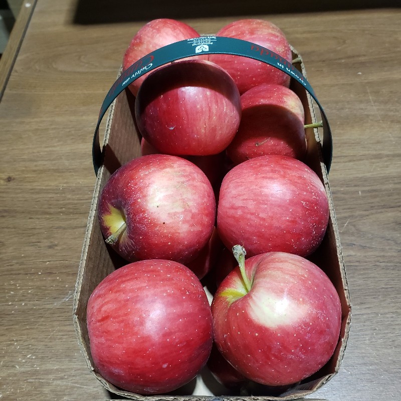 Apples, Rubella 3L - Palatine