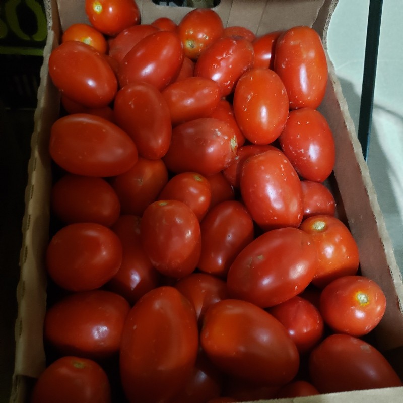 Tomatoes, Paste (Roma) 1/2 bushel - Knechtel