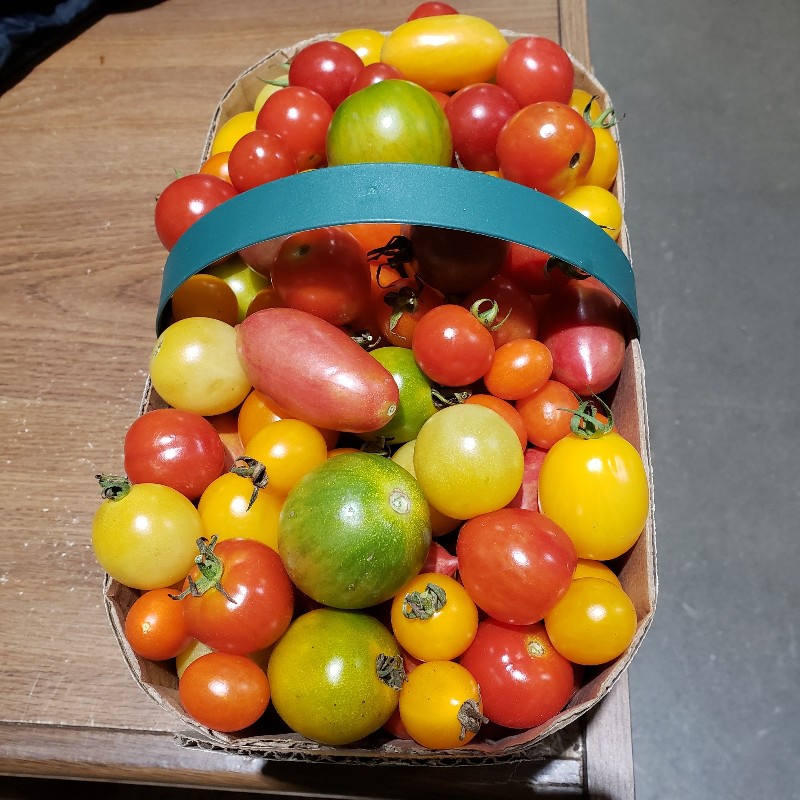 Cherry Tomatoes 3L - Knechtel