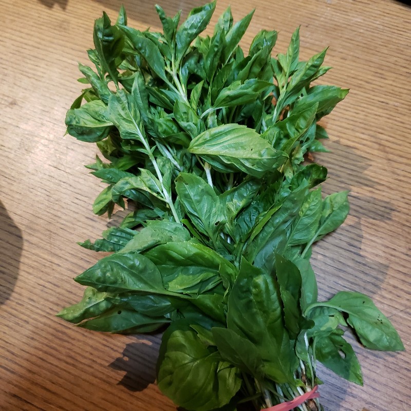 Fresh Basil, Bunch - Little Fields Farm