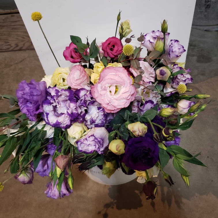 Flower Bouquet, Lisianthus - Knechtels