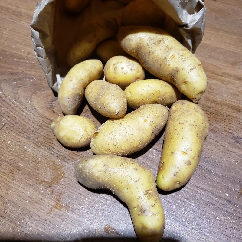 Potatoes, Yellow Fingerling - 5lb - Bowman