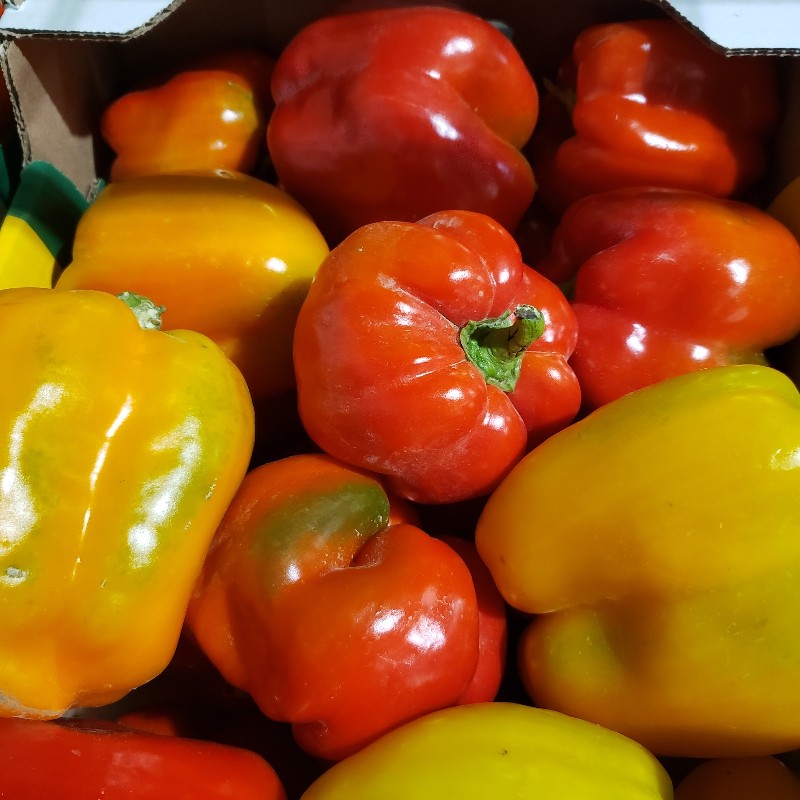 Peppers, Mixed Coulours 1/2 bushel - Knechtel