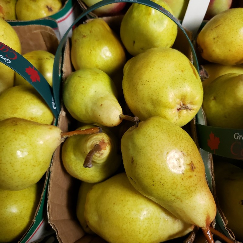 Pears, Harovin Bounty 2L - Warner's