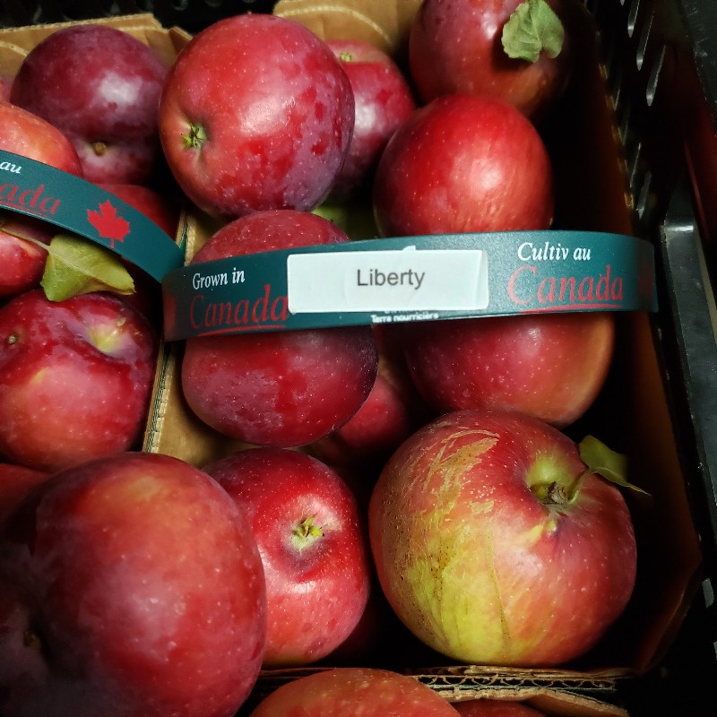 Apples, Liberty 3L - Palatine