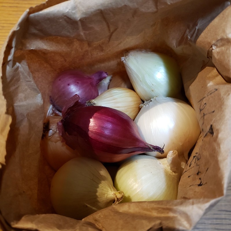 Onions, Mixed 5lbs - Knechtels
