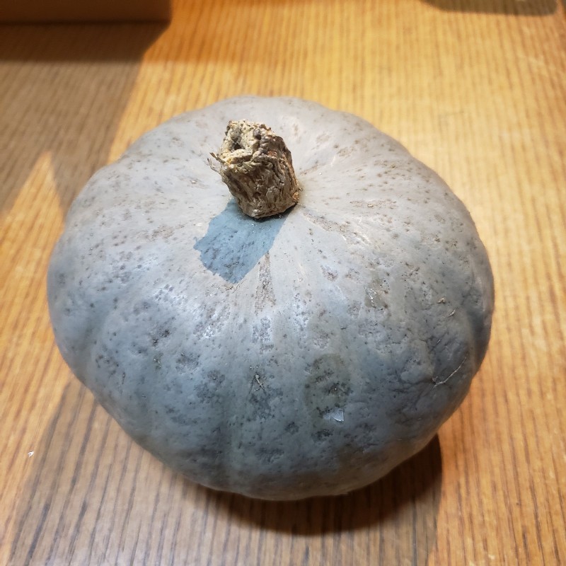 Squash,Winter Sweet 1-1.5lb - Knechtel