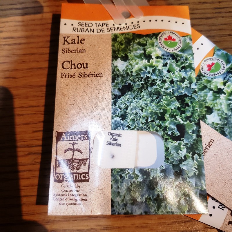 Seed Tape - Kale, Siberian