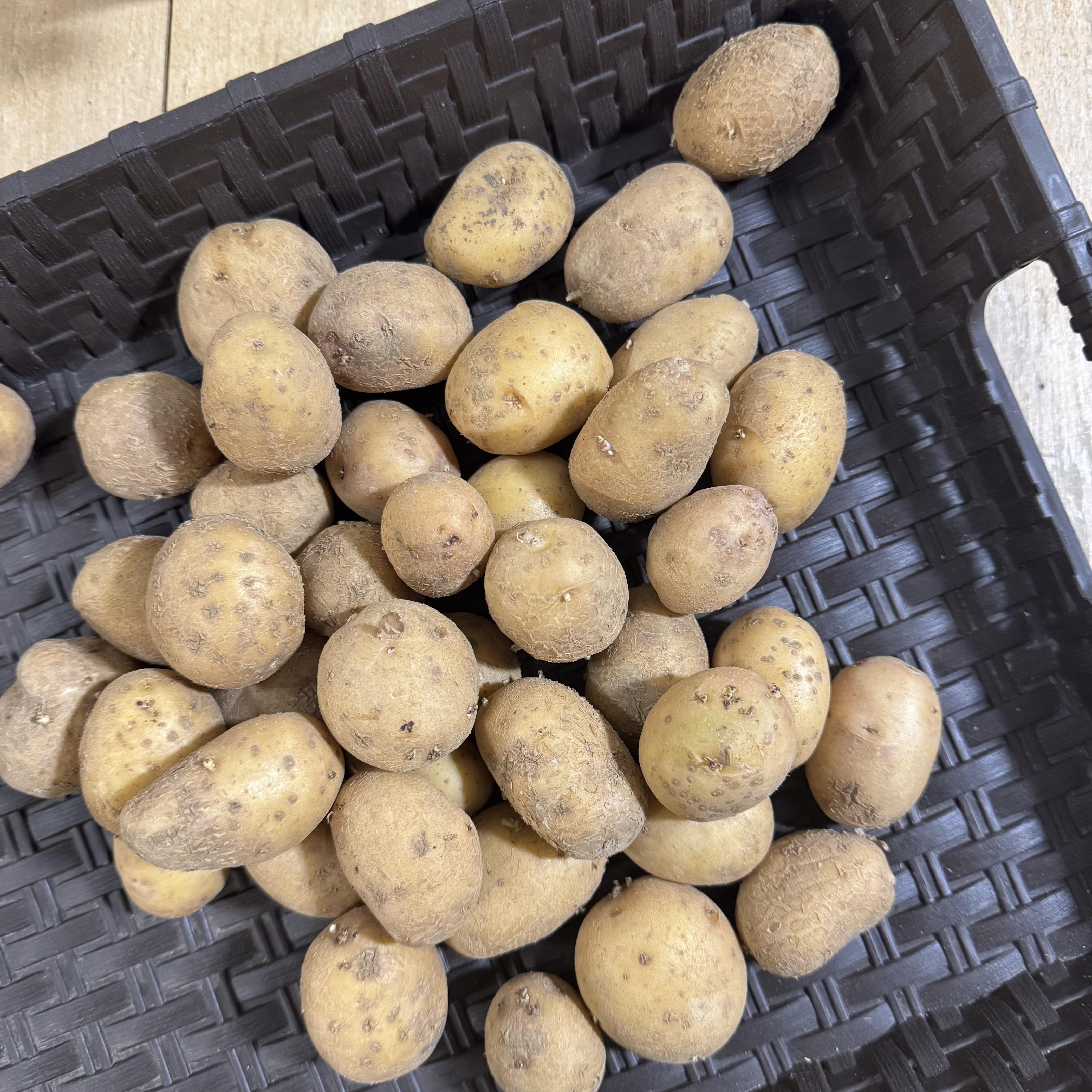 Potatoes, Yellow Baby 2lb - Bowman