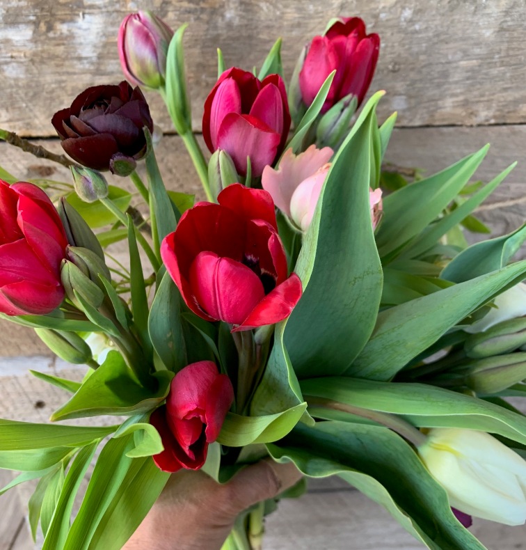 Tulip & Ranunculus Posey Bouquets