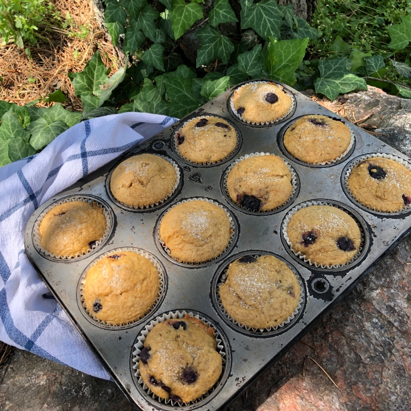 Organic Sourdough Einkorn Blueberry Muffins, 2-pack - The Sustainable Kitchen