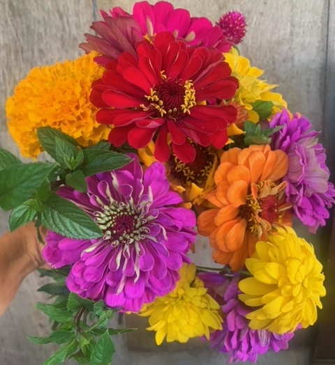 Hand-Tied Full Bouquets - Zinnia Summer Bright