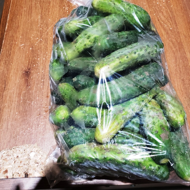 Pickling Cucumbers 3-5inch, 5lb - Summer's Harvest